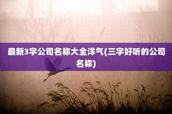 最新3字公司名称大全洋气(三字好听的公司名称)