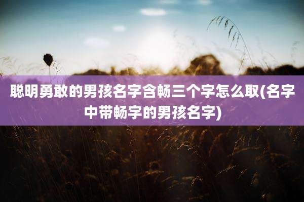 聪明勇敢的男孩名字含畅三个字怎么取(名字中带畅字的男孩名字)