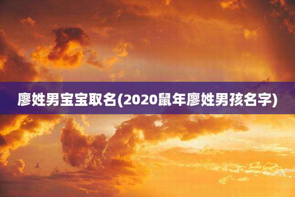 廖姓男宝宝取名(2020鼠年廖姓男孩名字)
