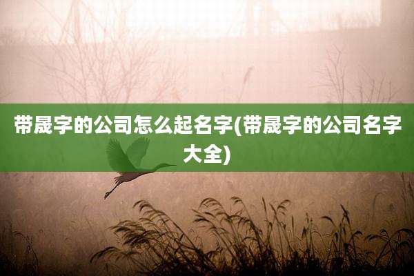 带晟字的公司怎么起名字(带晟字的公司名字大全)