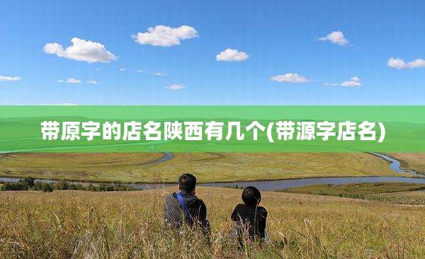 带原字的店名陕西有几个(带源字店名)