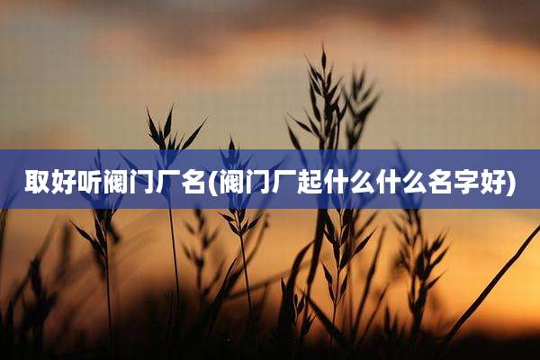 取好听阀门厂名(阀门厂起什么什么名字好)
