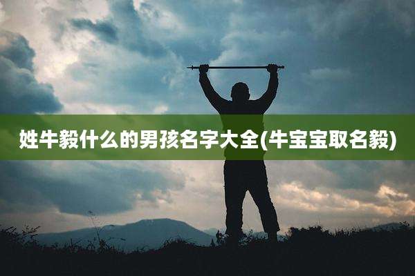 姓牛毅什么的男孩名字大全(牛宝宝取名毅)