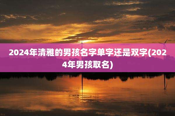 2024年清雅的男孩名字单字还是双字(2024年男孩取名)