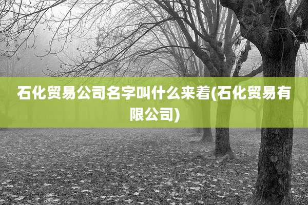 石化贸易公司名字叫什么来着(石化贸易有限公司)