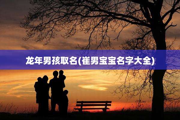 龙年男孩取名(崔男宝宝名字大全)