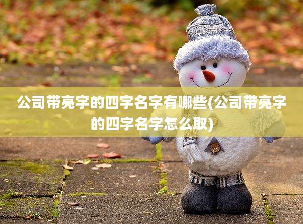公司带亮字的四字名字有哪些(公司带亮字的四字名字怎么取)