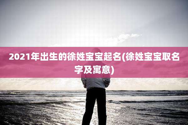 2021年出生的徐姓宝宝起名(徐姓宝宝取名字及寓意)