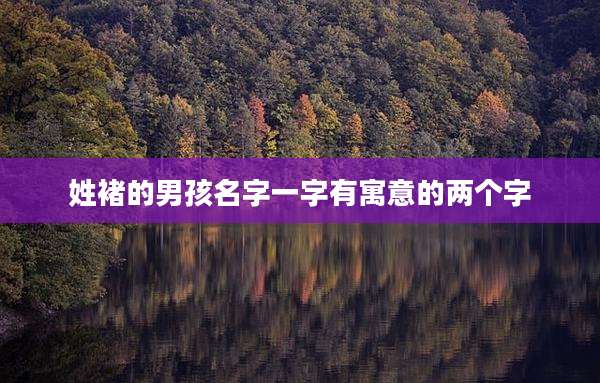 姓褚的男孩名字一字有寓意的两个字