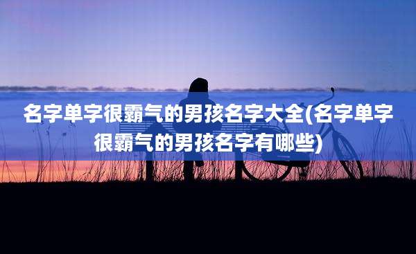 名字单字很霸气的男孩名字大全(名字单字很霸气的男孩名字有哪些)