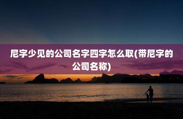 尼字少见的公司名字四字怎么取(带尼字的公司名称)