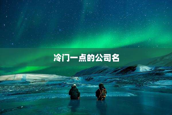 冷门一点的公司名