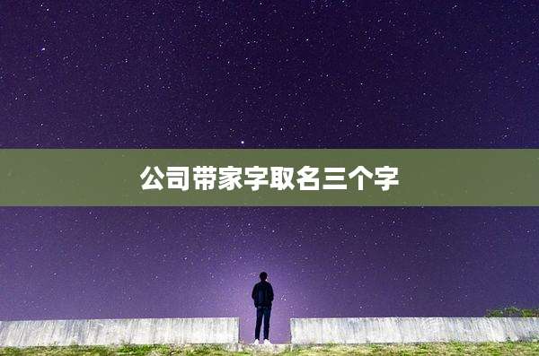 公司带家字取名三个字
