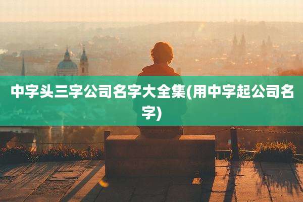 中字头三字公司名字大全集(用中字起公司名字)