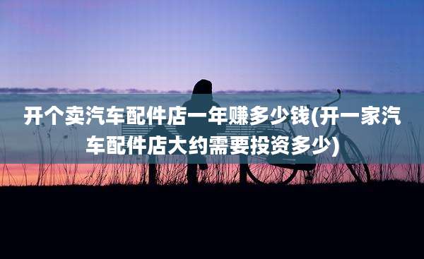开个卖汽车配件店一年赚多少钱(开一家汽车配件店大约需要投资多少)