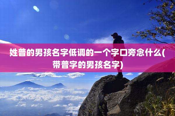 姓普的男孩名字低调的一个字口旁念什么(带普字的男孩名字)