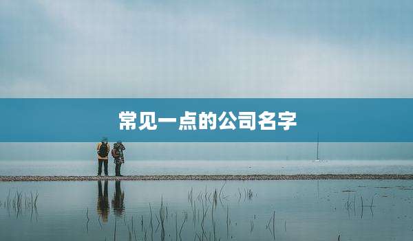 常见一点的公司名字