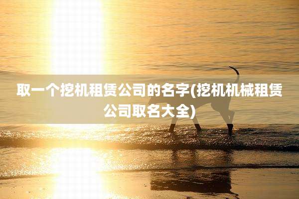 取一个挖机租赁公司的名字(挖机机械租赁公司取名大全)