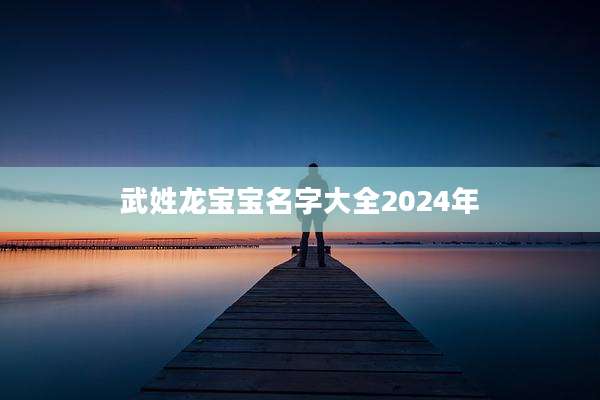 武姓龙宝宝名字大全2024年
