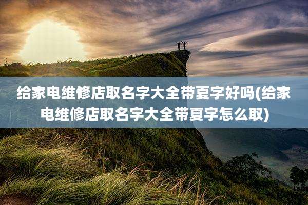 给家电维修店取名字大全带夏字好吗(给家电维修店取名字大全带夏字怎么取)