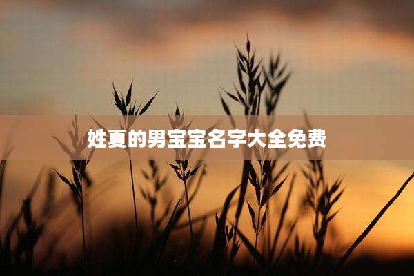 姓夏的男宝宝名字大全免费