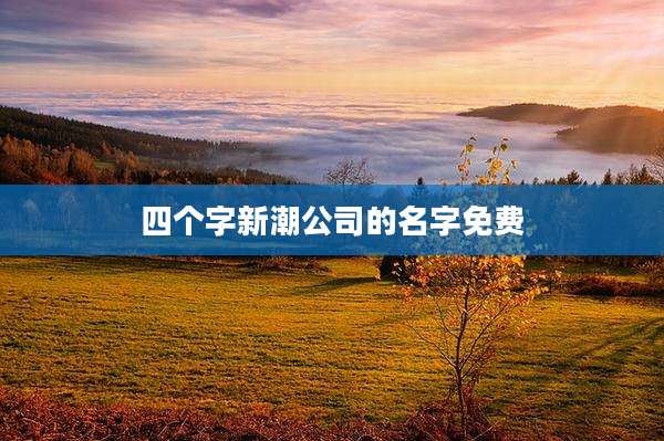 四个字新潮公司的名字免费