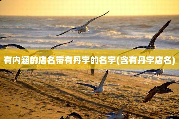 有内涵的店名带有丹字的名字(含有丹字店名)