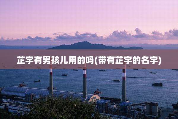 芷字有男孩儿用的吗(带有芷字的名字)