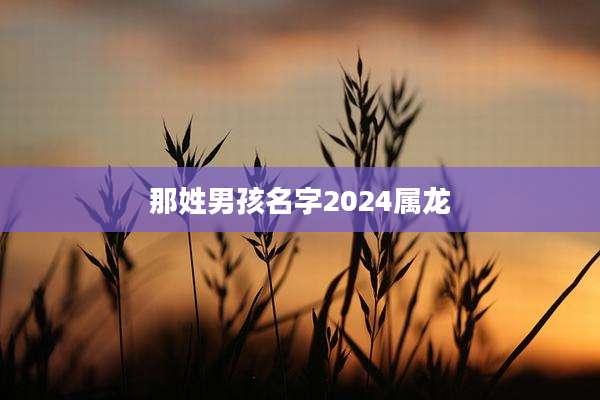 那姓男孩名字2024属龙