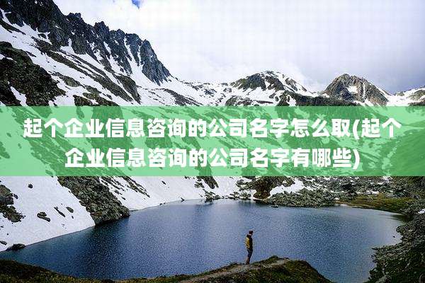 起个企业信息咨询的公司名字怎么取(起个企业信息咨询的公司名字有哪些)