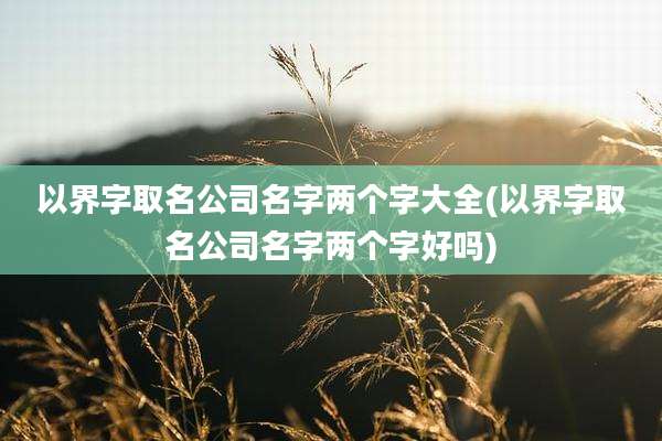 以界字取名公司名字两个字大全(以界字取名公司名字两个字好吗)