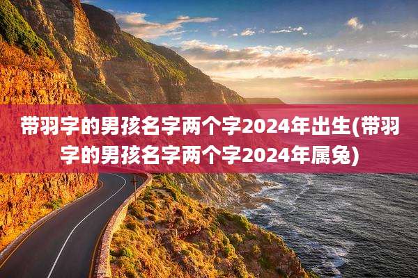带羽字的男孩名字两个字2024年出生(带羽字的男孩名字两个字2024年属兔)