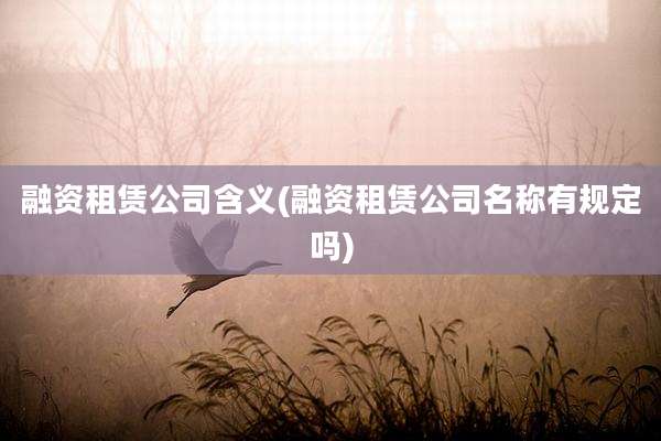 融资租赁公司含义(融资租赁公司名称有规定吗)