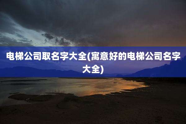 电梯公司取名字大全(寓意好的电梯公司名字大全)