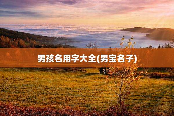 男孩名用字大全(男宝名子)