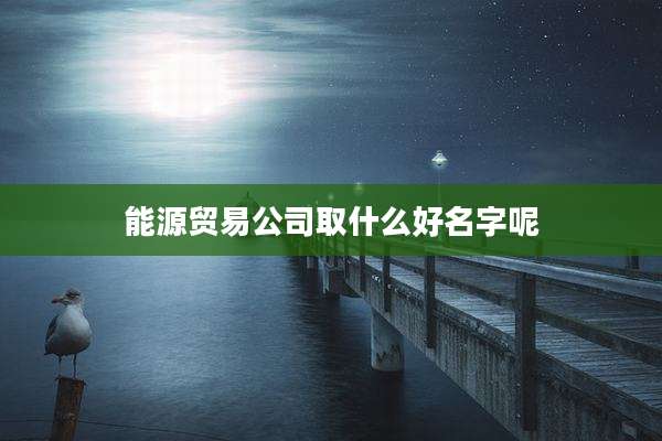 能源贸易公司取什么好名字呢