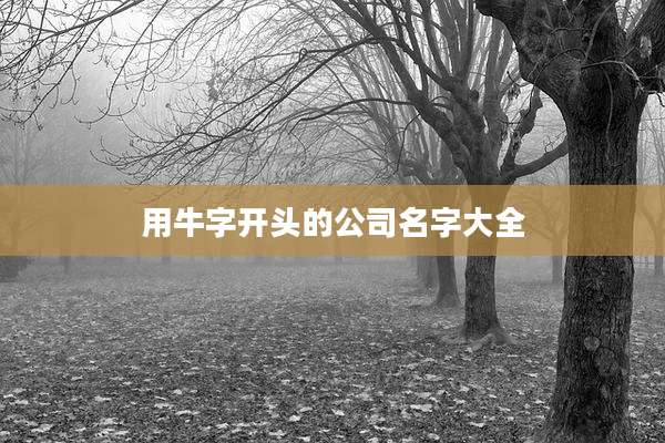 用牛字开头的公司名字大全