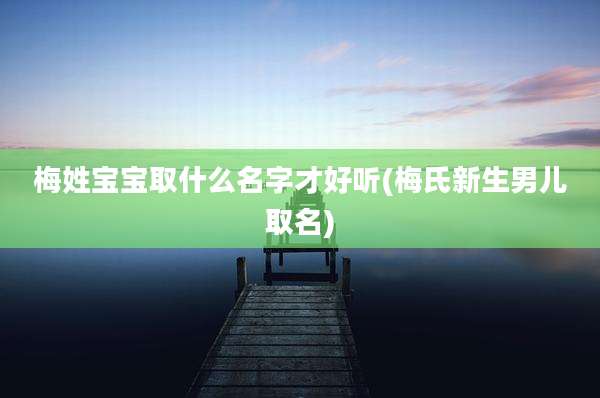 梅姓宝宝取什么名字才好听(梅氏新生男儿取名)