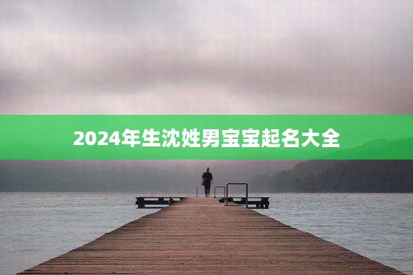 2024年生沈姓男宝宝起名大全