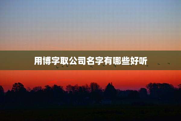 用博字取公司名字有哪些好听
