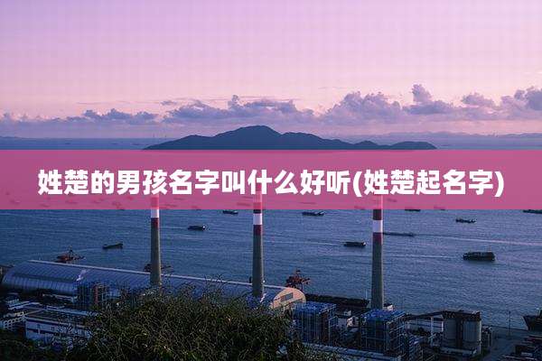 姓楚的男孩名字叫什么好听(姓楚起名字)