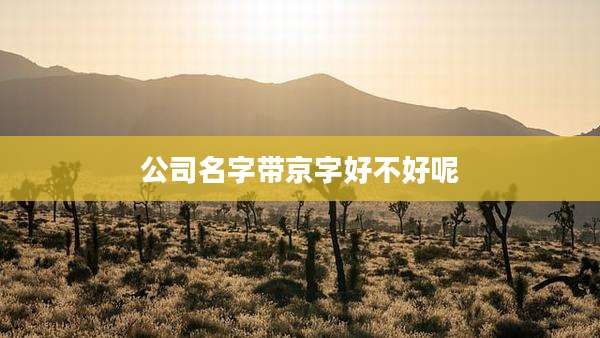 公司名字带京字好不好呢