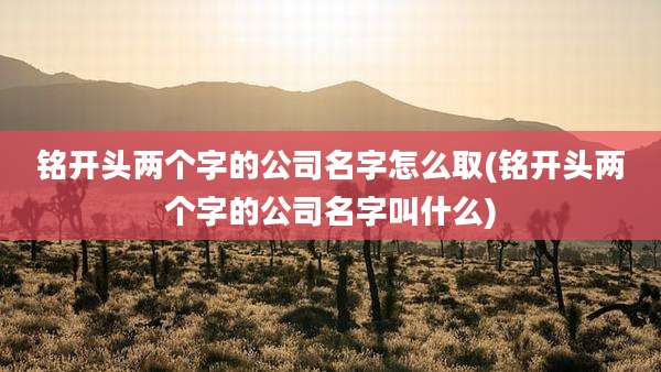 铭开头两个字的公司名字怎么取(铭开头两个字的公司名字叫什么)