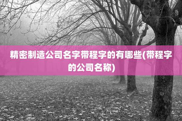 精密制造公司名字带程字的有哪些(带程字的公司名称)