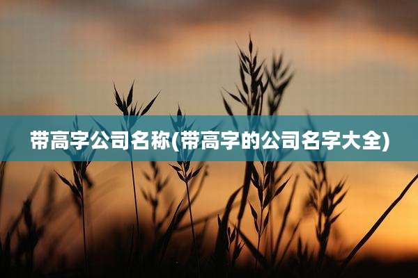 带高字公司名称(带高字的公司名字大全)