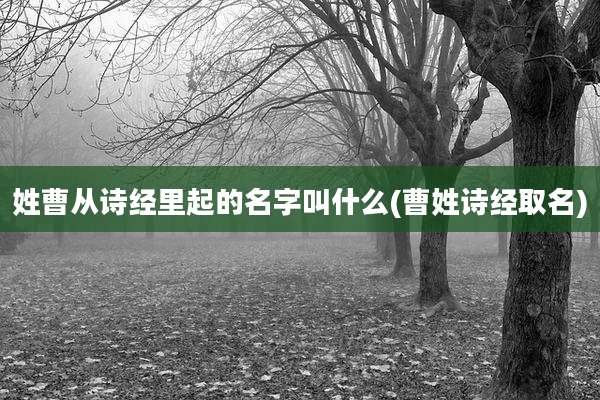 姓曹从诗经里起的名字叫什么(曹姓诗经取名)