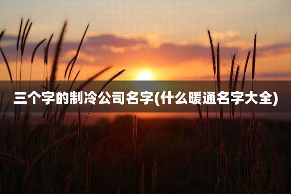 三个字的制冷公司名字(什么暖通名字大全)