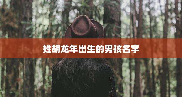 姓胡龙年出生的男孩名字