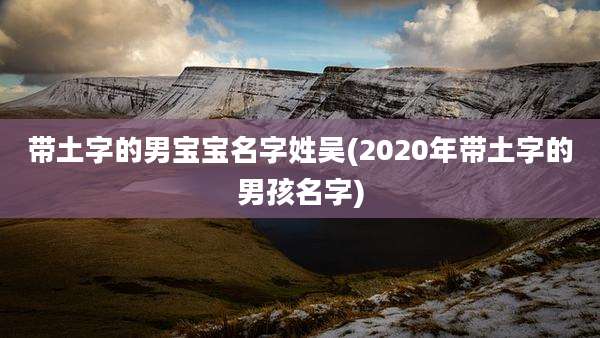 带土字的男宝宝名字姓吴(2020年带土字的男孩名字)