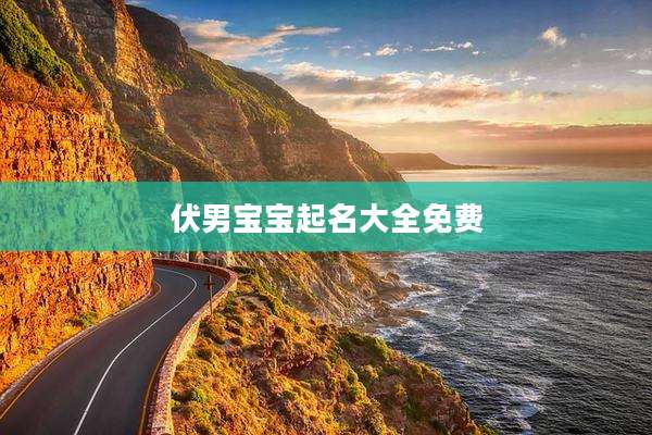 伏男宝宝起名大全免费